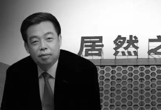 居然智家官宣董事长汪林朋逝世,百亿负债谁来接盘