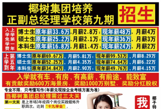 椰树椰汁爆改“贤妻风”?网友:感觉陌生