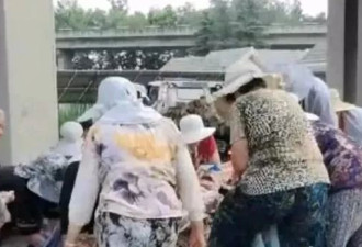 山东货车翻车 10多吨猪蹄鸡腿被村民哄抢…
