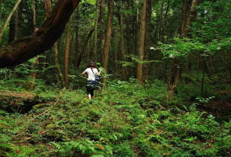 日本每年失踪10万人 他们到底去哪儿了?