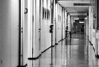 被流浪狗绊倒 河南男怒杀死路过老妇