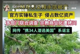 被传是“少林寺方丈情妇” 台湾女星发声
