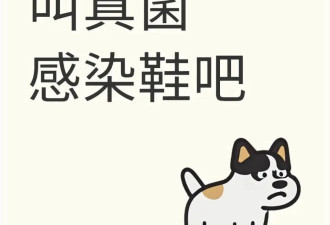 爆火到人人爱穿的洞洞鞋，是“脚气培养皿”？