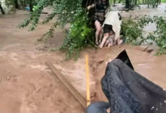 河北暴雨 亲历者：水淹过颈部 6人抱一棵树5小时