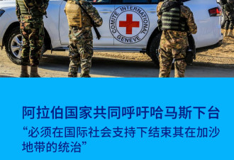 十多个阿拉伯国家联署 共同谴责 要求哈马斯交权