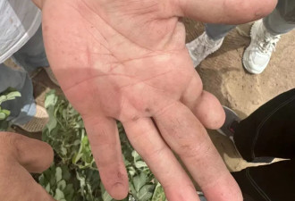 3046公里，她们用玫瑰锁住了塔克拉玛干
