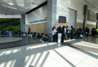 5.4万人抢破头! 多伦多疯狂"人肉长龙"刷屏：数千人蹲守数小时