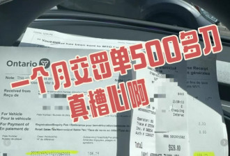 多伦多华人司机崩溃！家门口一个月交罚单500多刀！