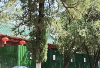 少林寺现状曝：方丈室被铁皮围住 黑衣人把守通道