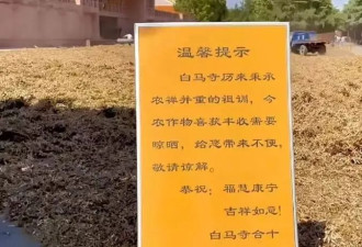 开挖机、不爱商业，少林寺来了位不一样的住持