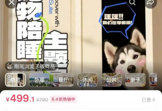 酒店推出"宠物陪睡"服务，每只"陪睡犬"日薪100元