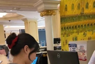 酒店推出"宠物陪睡"服务，每只"陪睡犬"日薪100元