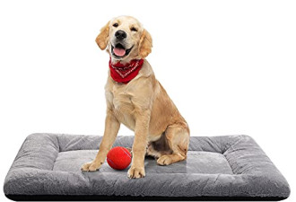 7.8 折, Medium/Large Dog Bed, 36" x23"
