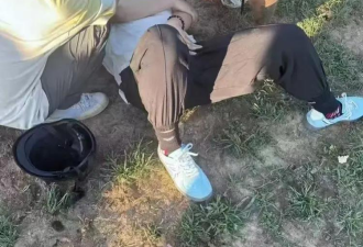 惨！男子被马踢裆，倒地大喊“当不了爸”