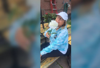 悲剧！多伦多81岁老太驾车撞死人逃逸，受害人才刚退休