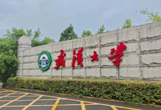 漩涡中的武汉大学，校友正接连“出事”