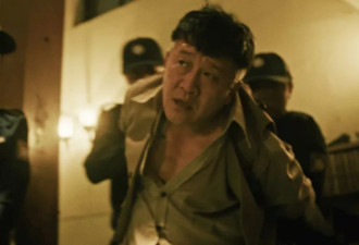 《扫毒风暴》33集大结局：这才是王林自杀的原因