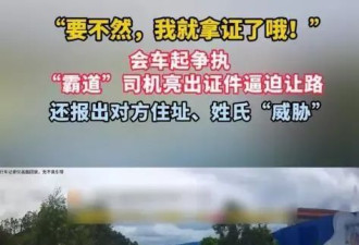 男子称遭奔驰“亮证姐”逼迫让路 警方不能“视情况公布”