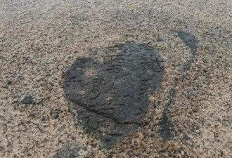 “皇帝北巡之碑”惊现内蒙古草原，专家正展开研究