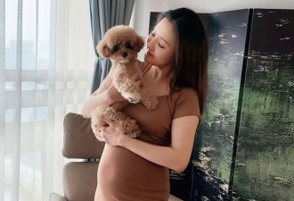 40岁香港知名女星宣布怀孕 打三百多针做试管婴儿圆梦