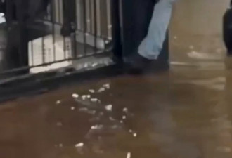 暴雨侵袭美东 陆空交通中断 纽约州进入紧急状态