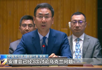 安理会7天3议乌克兰问题，中方发出呼吁