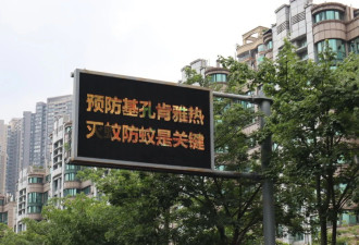 实探基孔肯雅热三级响应镇： 基层防疫任务重