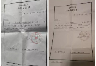 养殖棚被强制搬迁500多只兔子死亡 男子维权被抓