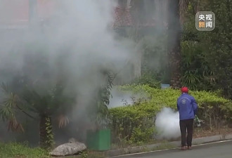 从集中消杀到生物防治,广东全民总动员开启大灭蚊