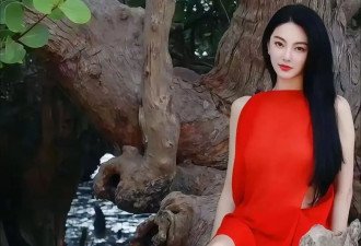 丰腴美人张雨绮晒出最新美照，网友大胆又性感，娱乐圈少有