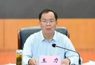 市委原书记,市政协原主席,原董事长,云南3天...