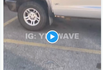 视频疯传：加拿大竟然开奔驰车明抢了 被拍竟然毫不在乎！