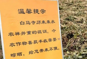白马寺周边村民回忆印乐方丈：亲自带弟子耕作