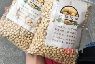 白马寺周边村民回忆印乐方丈：亲自带弟子耕作