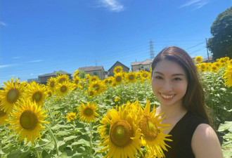 网红打卡美景一夜消失 田主不堪嘈杂拥堵亲手毁掉