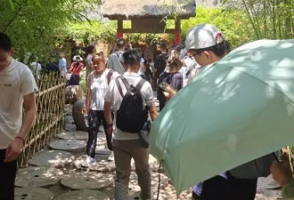 实探白马寺：基本无商业元素 僧人顶着高温种地