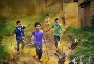为何我们想不起——婴儿时期的记忆