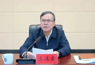 大搞学术腐败，侵吞科研经费，王汉青被“双开”