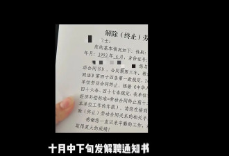 32岁女子银行辞职去大专，学历低又遭解聘