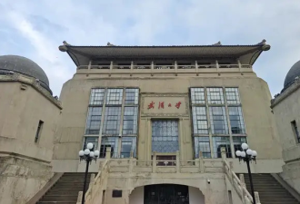风口浪尖上的武大 谁是力保杨某媛的幕后推手