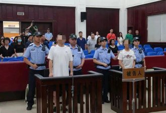 直播主夫妻造谣大熊猫遭虐待 牟利17万元遭判囚