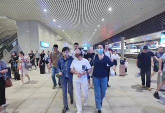 直播主夫妻造谣大熊猫遭虐待 牟利17万元遭判囚