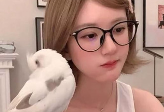 赵露思直播逆势涨粉33万，同款衣服卖空？