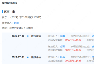 赵薇突传消息!名下股权被冻结1590万元