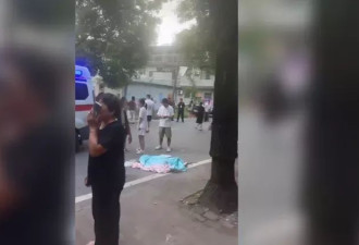 湖南小学砍人现场：2死3伤嫌犯落网 多童倒血泊