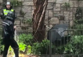 香港湾仔惊现无头尸体，警方称系从高处坠下