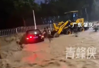 广东多地洪灾“如黄河滚滚” 汽车漂浮 水深及腰
