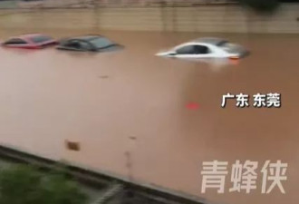 广东多地洪灾“如黄河滚滚” 汽车漂浮 水深及腰