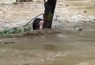 “北京山谷”怎么敢在暴雨天让人露营睡帐篷?