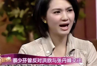 为何张丹峰背叛5年之后 洪欣才选择和他离婚？